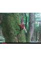 vzorka z predajne - Fotopasca Minox DTC 460