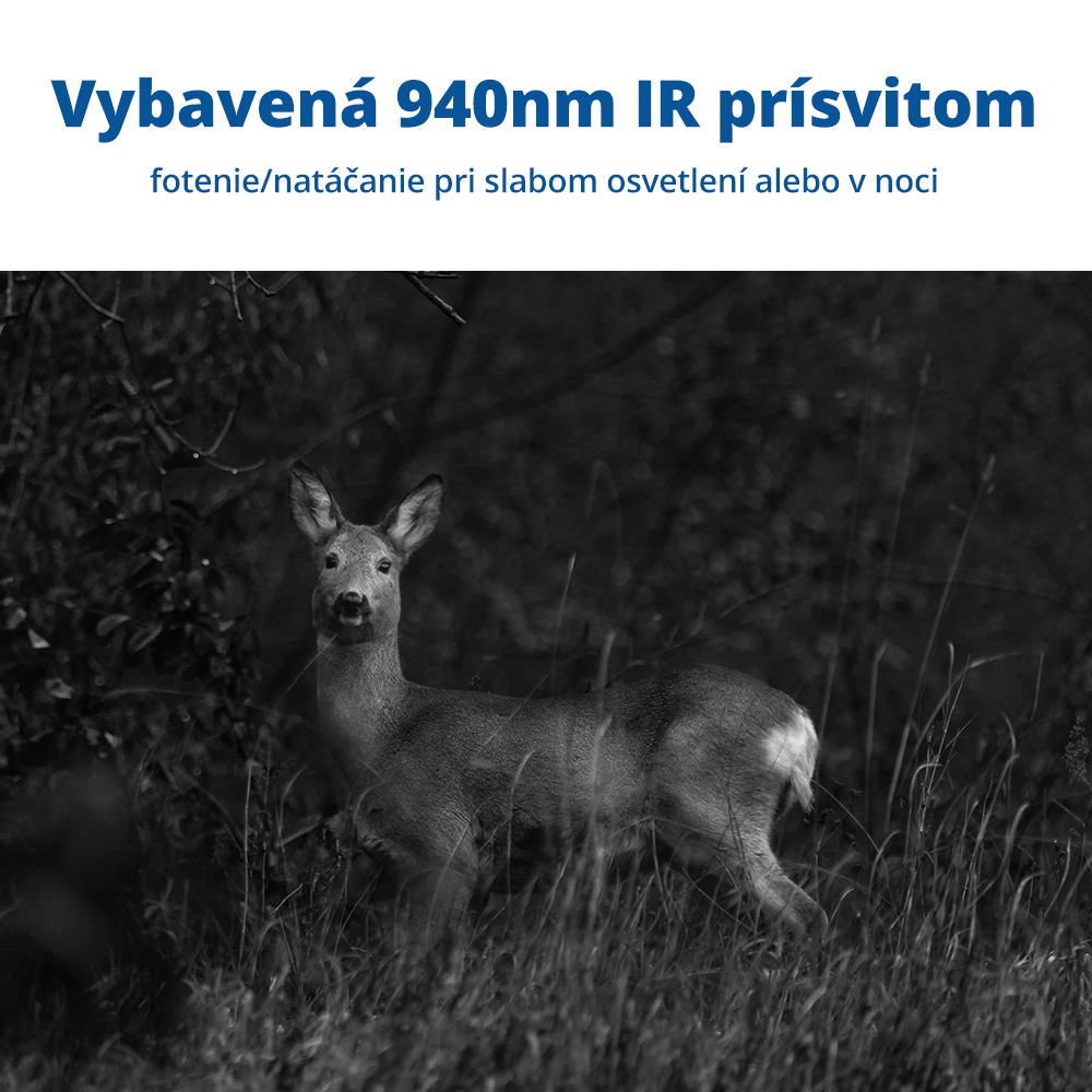 Fotopasca LunaVision Live View 4G (v2)