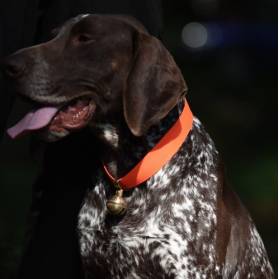 Mosadzná rolnička pre psa, Zubíček 2,5cm