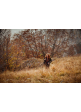 Dámska bunda Deerhunter Lady Caroline Padded Jacket Brown Leaf