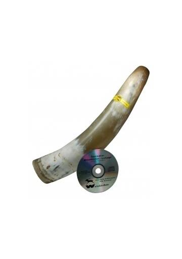 Vábnička na jeleňa - ručadlo z volského rohu+CD