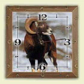 Nástenné hodiny - motív muflón