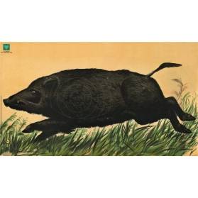 Terč Akah - bežiaci diviak