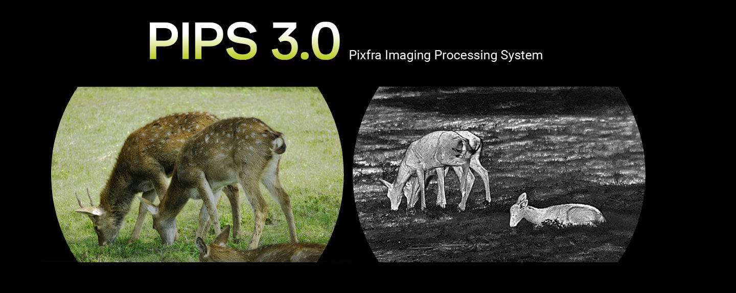 Obrazový algoritmus PIPS 3.0