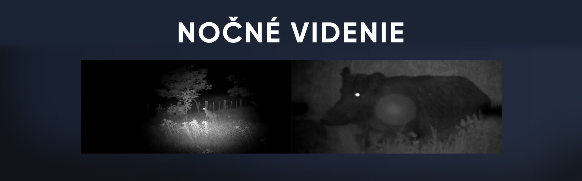 Ako funguje nočné videnie